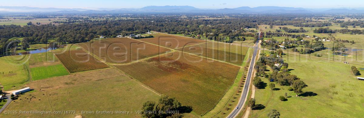 Peter Bellingham Photography Brown Brothers Winery - VIC (PBH3 00 34003)